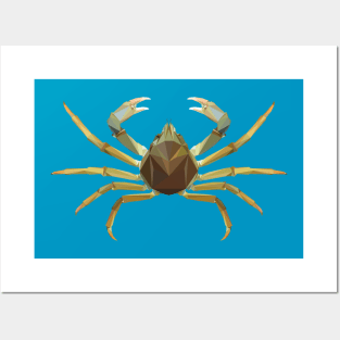 Spider crab Posters and Art